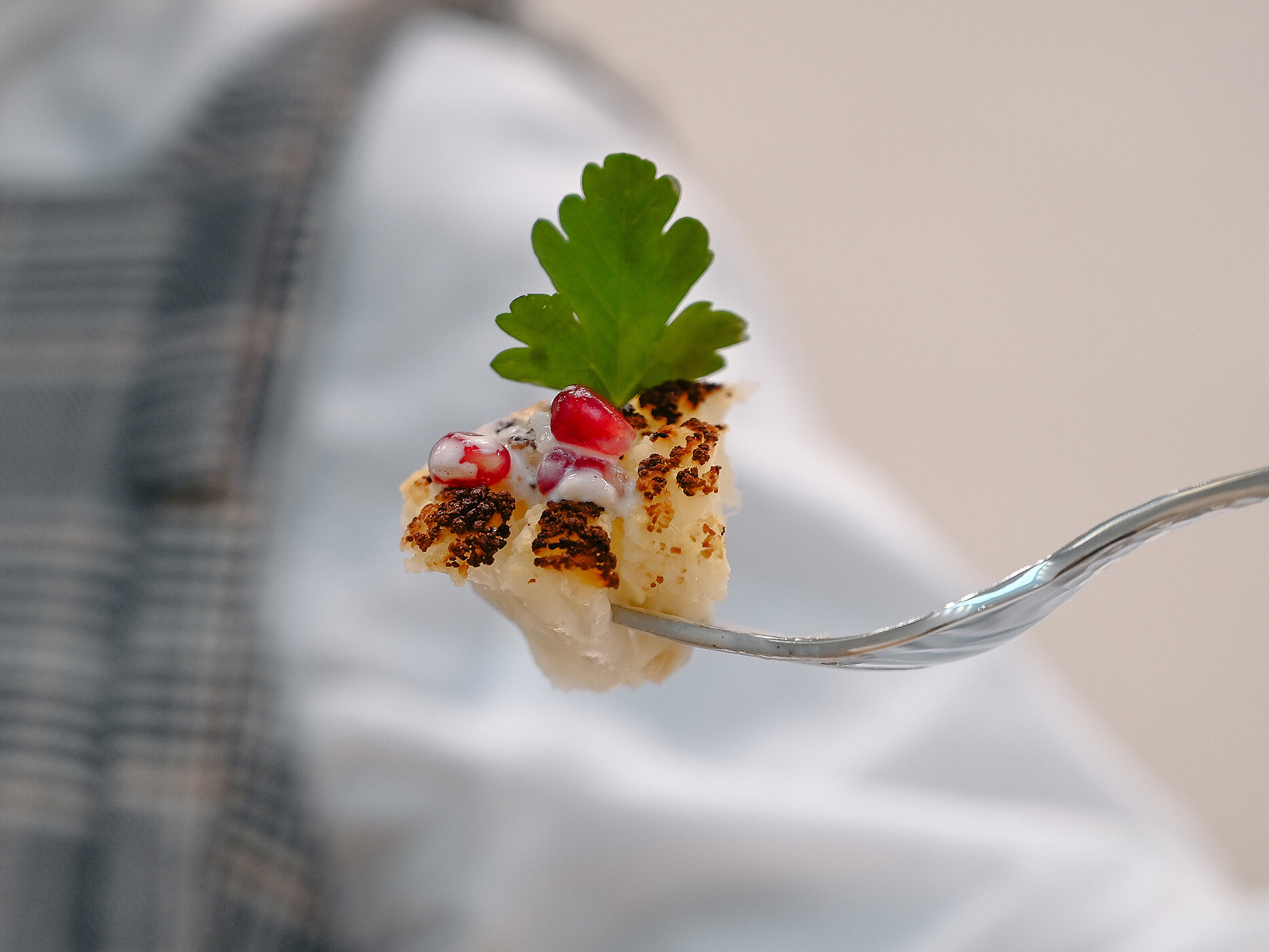 Lorem ipsum dolor sit