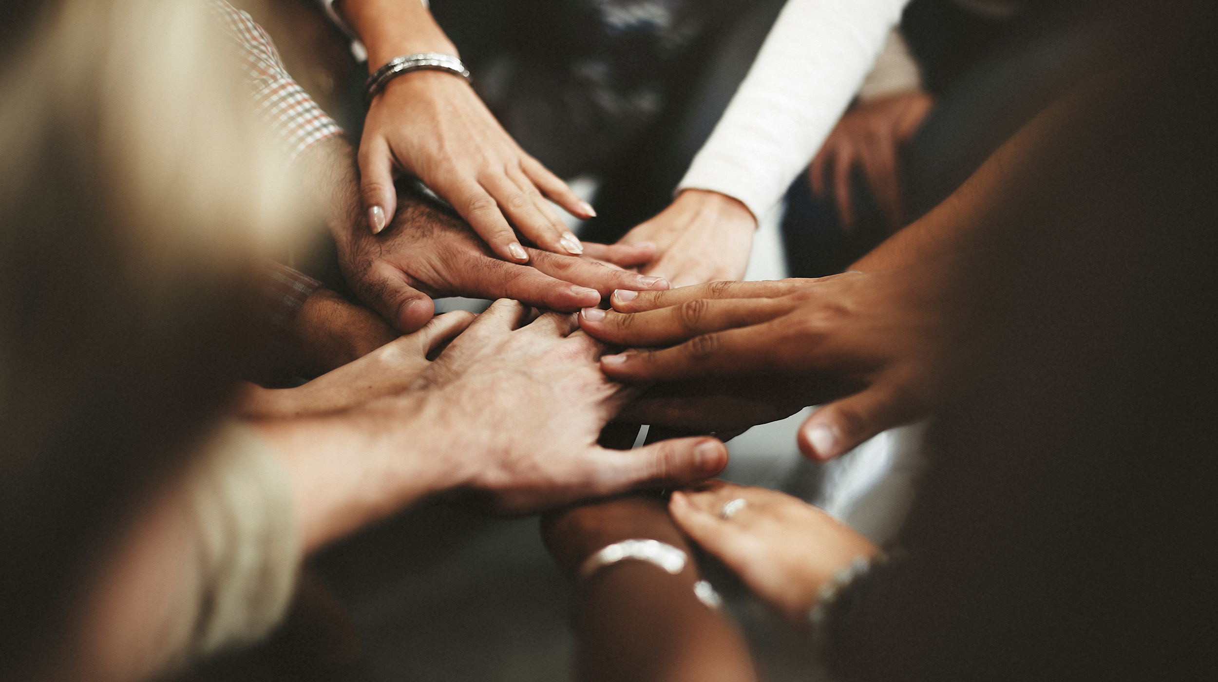 Teamwork auf Augenhöhe