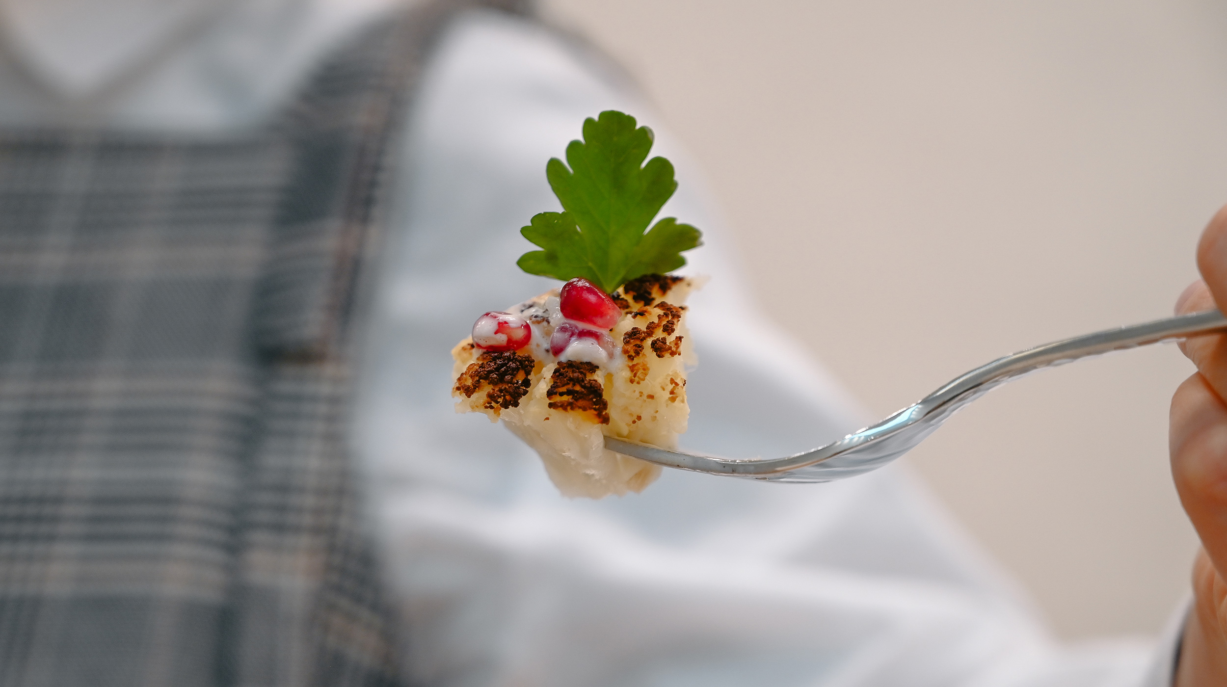 premium image description